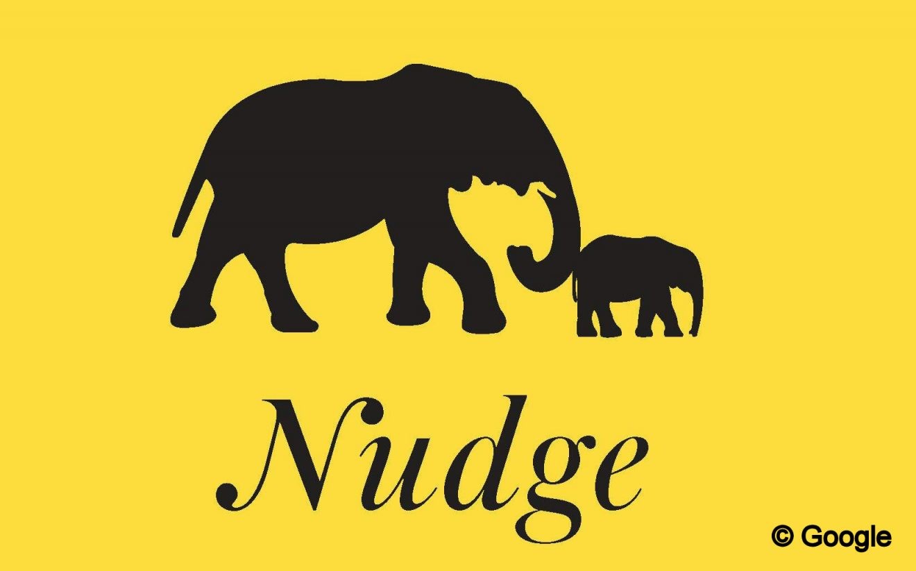Архитектура выбора книга. Nudge book. Nudge талер. Nudge книга. Nudge талер.