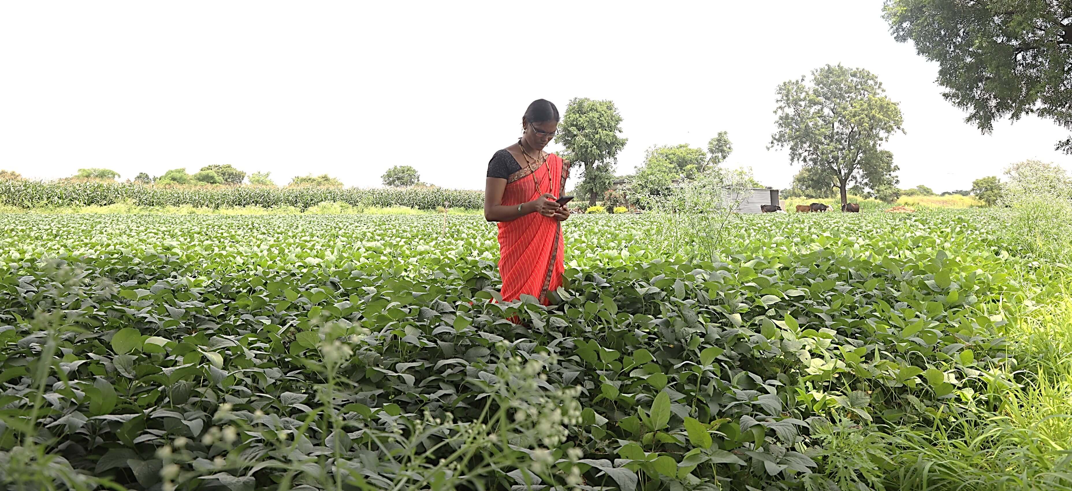 Empowering Women Farmers Through Promotion of Gender-Friendly Farm