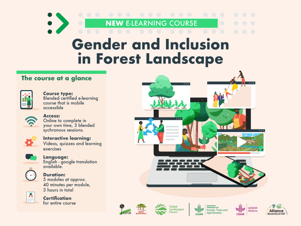 Gender and Inclusion in Forest Landscape Restoration | AESA