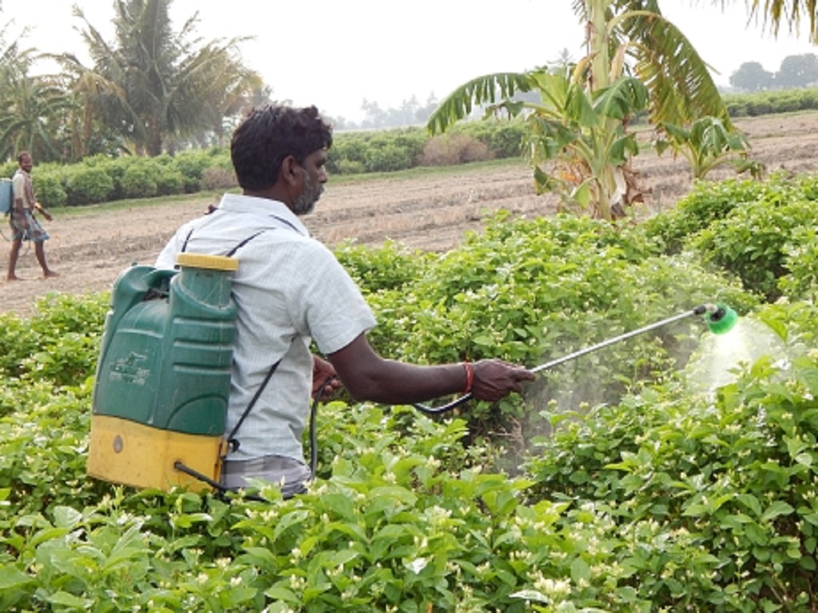 Blog-247-Reducing Pesticide Exposure Risk Among Farmers and Farm ...